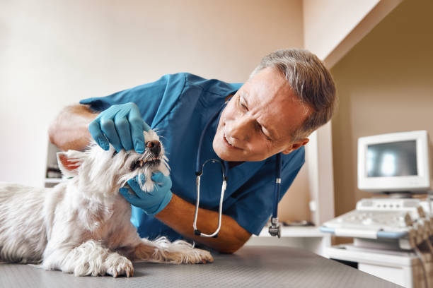 Best Emergency Tooth Extraction in Roanoke, TX